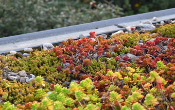 the cost of Dunalastair green roof installation