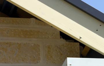 soffit repair Dunalastair