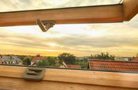 rated Dunalastair roof window companies